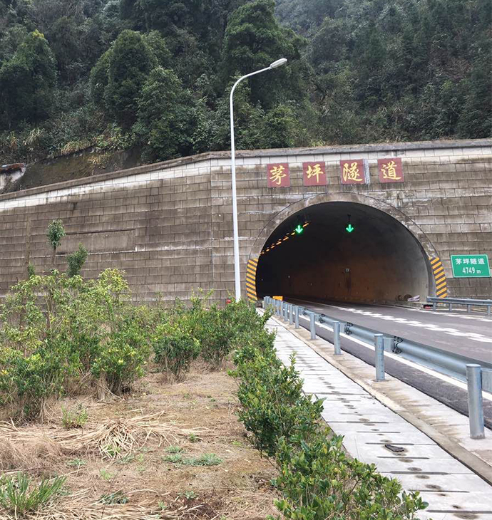 福建邵光高速茅坪隧道