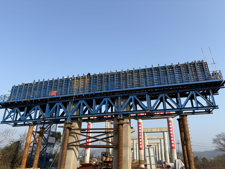 20260316178926.jpg 茶绕三标_副本.jpg